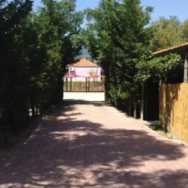 Campeggio Oasi