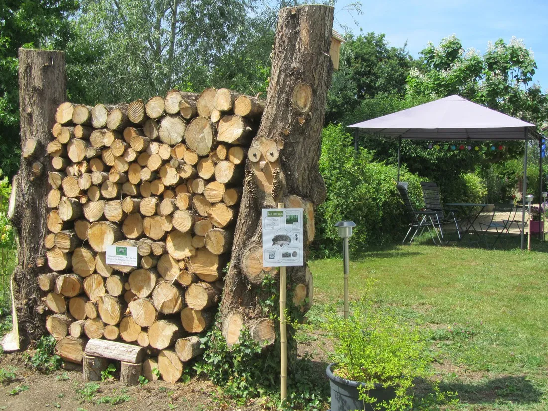 camping-les-ripettes-ain-ag7n3