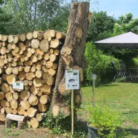 camping-les-ripettes-ain-ag7n3