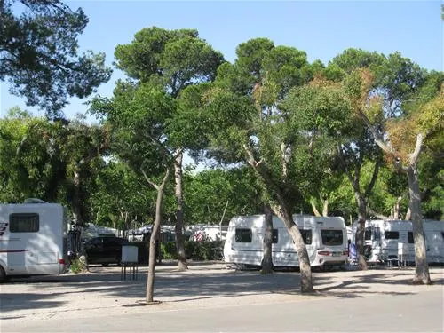 bonterra-park-benicssim-5m83j
