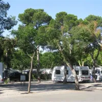 bonterra-park-benicssim-5m83j