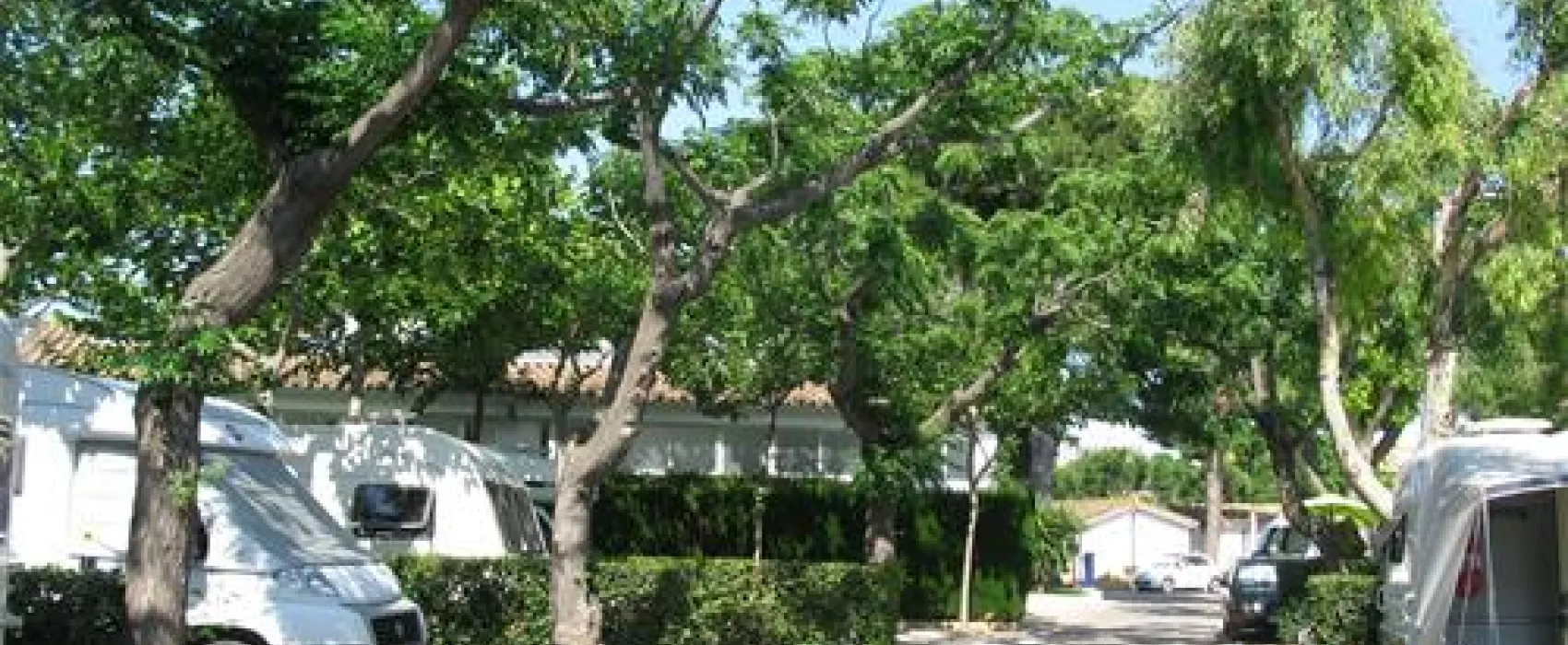 Bonterra Park