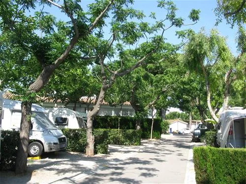 bonterra-park-benicssim-mbxkx