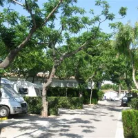 bonterra-park-benicssim-mbxkx
