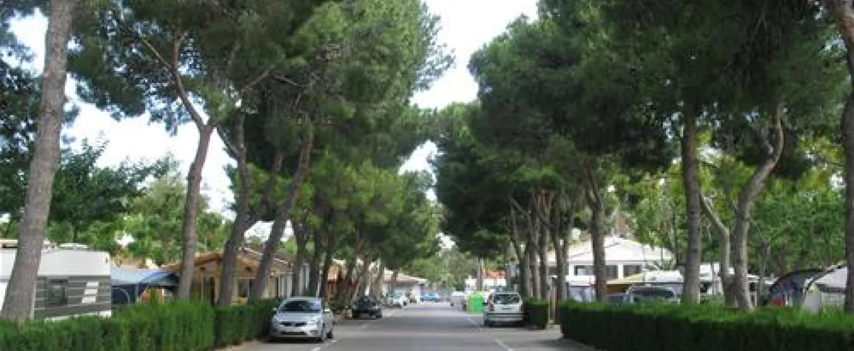 Bonterra Park