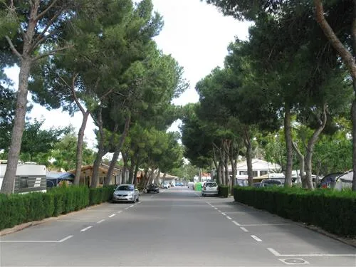bonterra-park-benicssim-nfkd3