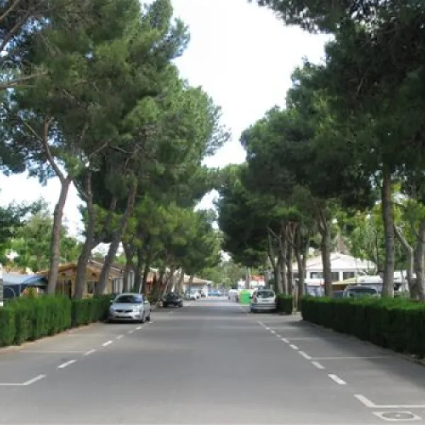 bonterra-park-benicssim-nfkd3