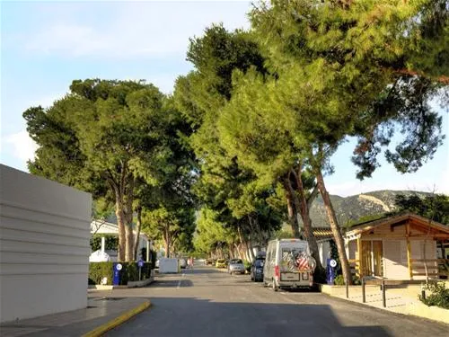 bonterra-park-benicssim-sh5pm