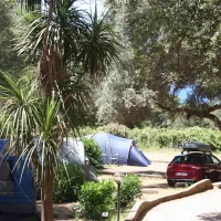 Camping aire naturelle de Leonetti Marie