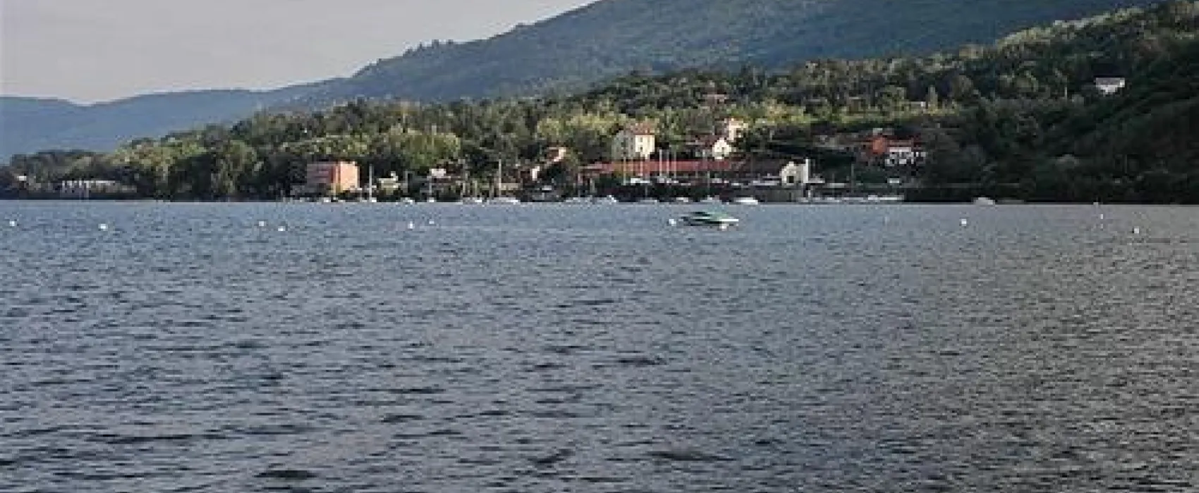 Campeggio Orchidea