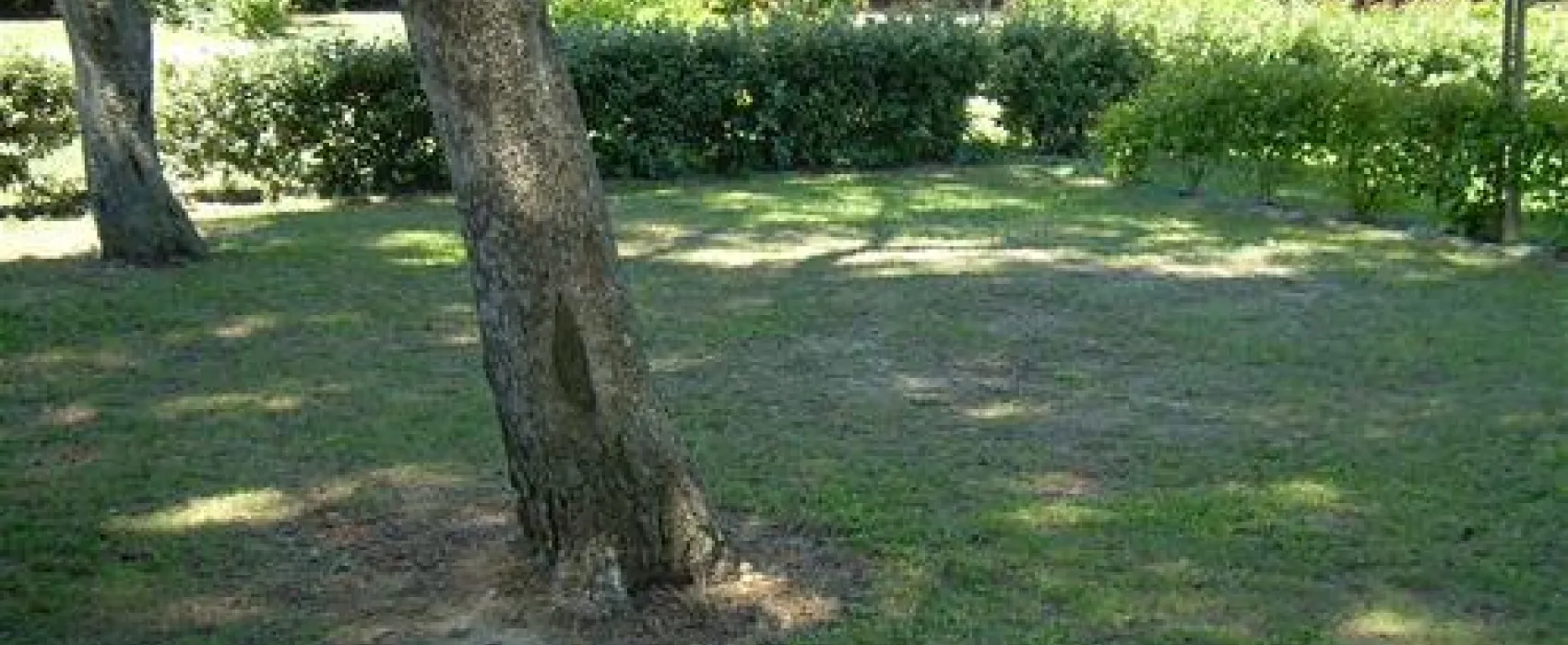 Camping les Amandiers