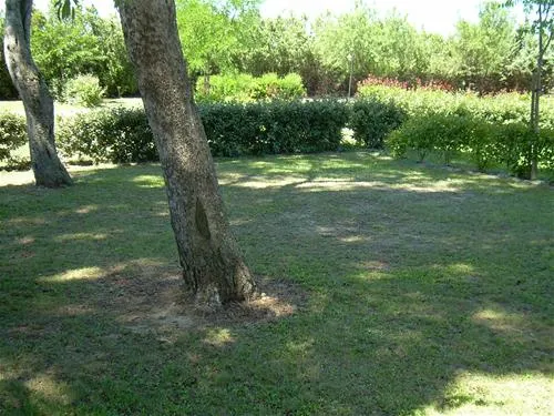 camping-les-amandiers-gallargues-le-montueux-bju8c