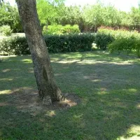 camping-les-amandiers-gallargues-le-montueux-bju8c