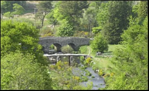 runnage-farm-yelverton-t1uv9