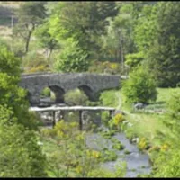 Runnage Farm