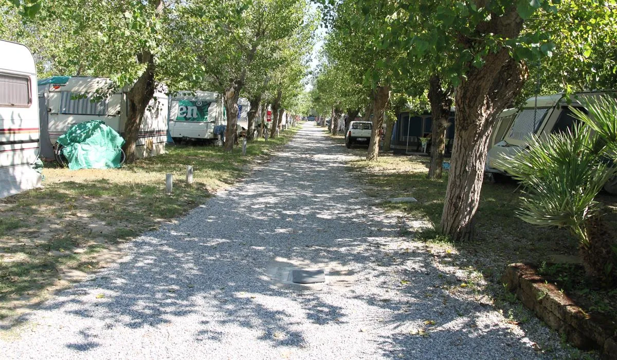 campeggio-villaggio-dei-pini-punta-marina-terme-euhb3