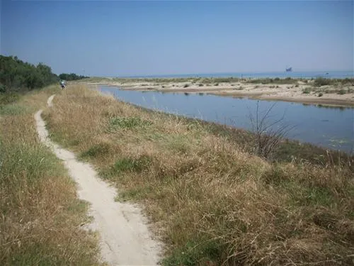 campeggio-villaggio-dei-pini-punta-marina-terme-odysy