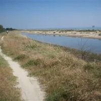 campeggio-villaggio-dei-pini-punta-marina-terme-odysy