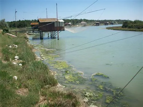 campeggio-villaggio-dei-pini-punta-marina-terme-ujirg