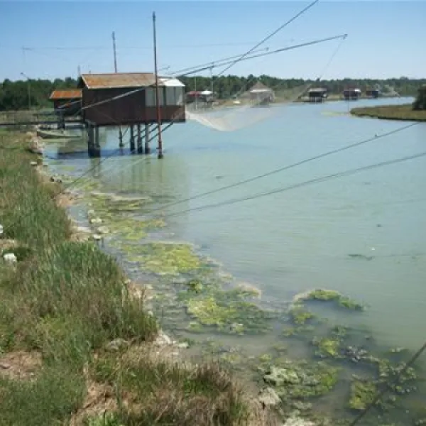 campeggio-villaggio-dei-pini-punta-marina-terme-ujirg
