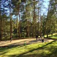 camping-le-vianon-palisse-kz75r