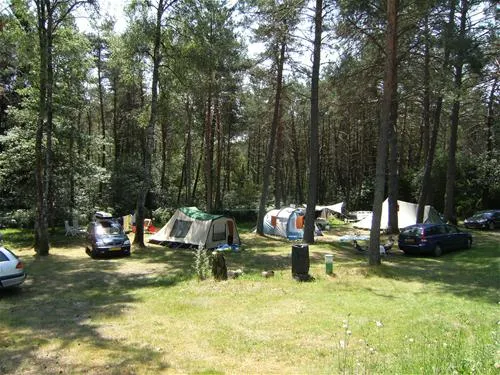 camping-le-vianon-palisse-ldlwt