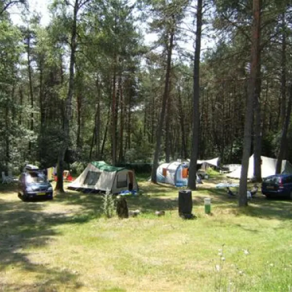 camping-le-vianon-palisse-ldlwt