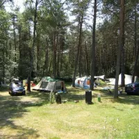 camping-le-vianon-palisse-ldlwt