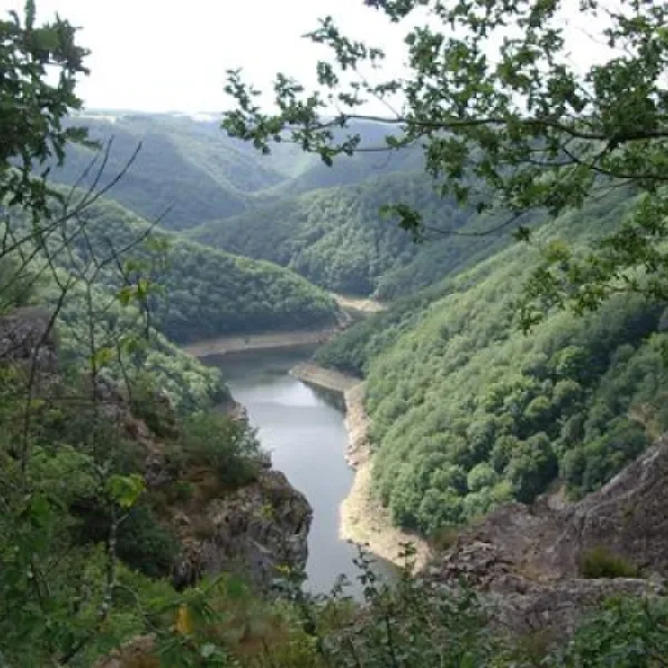 camping-le-vianon-palisse-sgx7u