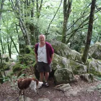 camping-le-vianon-palisse-yp0ic