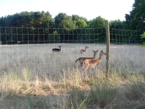 naturcamping-halbinsel-raatsch-mrkische-heide-ptzmi