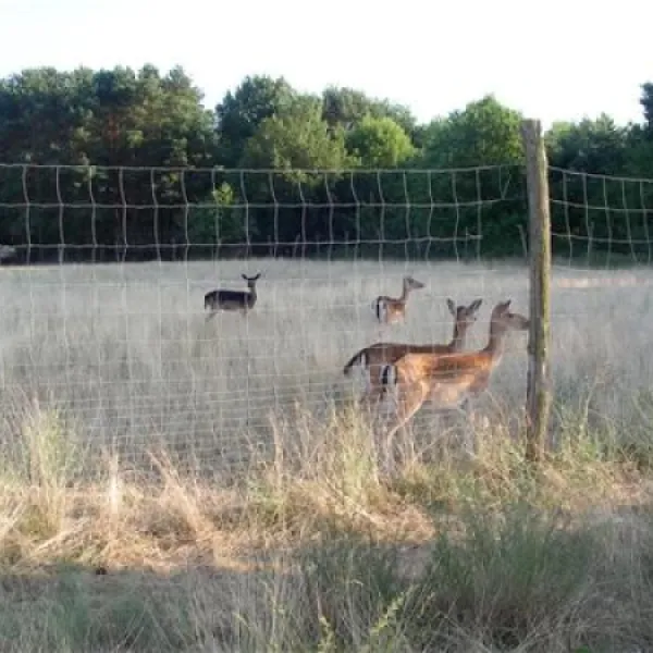 naturcamping-halbinsel-raatsch-mrkische-heide-ptzmi