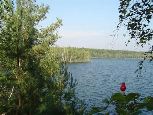 campingplatz-sandersdorf-sandersdorfbrehna-dr8r6