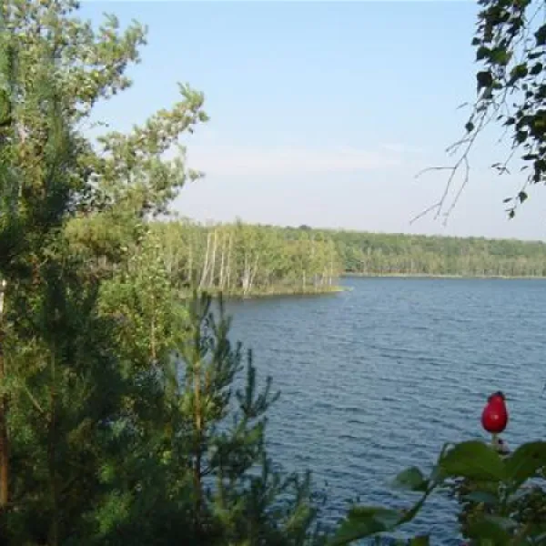 campingplatz-sandersdorf-sandersdorfbrehna-dr8r6