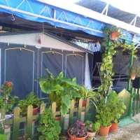 Camping el Cid