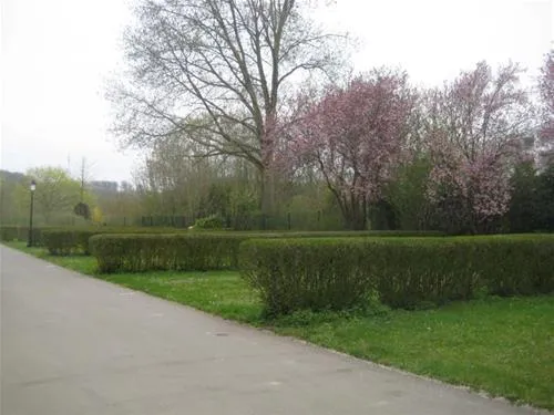 camping-bon-accueil-alzingen-6t5jj