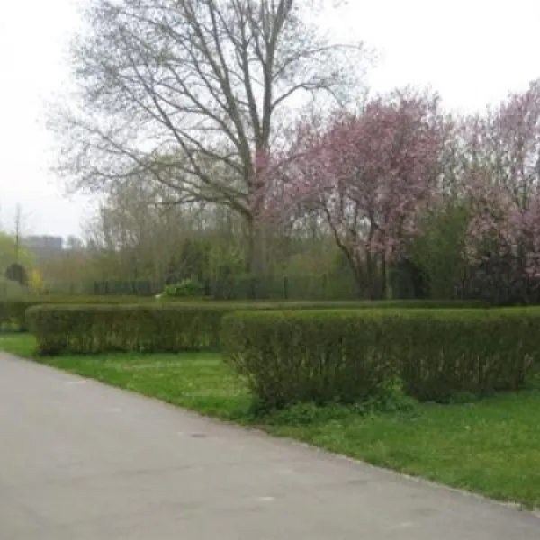 camping-bon-accueil-alzingen-6t5jj