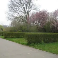 camping-bon-accueil-alzingen-6t5jj