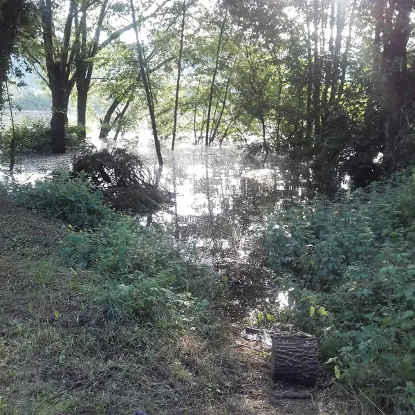camping-les-iles-morsang-sur-seine-82y4k