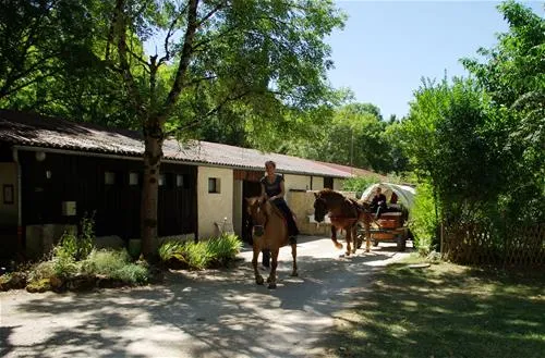 camping-du-ruisseau-du-treil--saintcirq-lapopie-ksafd