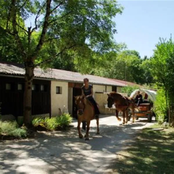 camping-du-ruisseau-du-treil--saintcirq-lapopie-ksafd