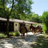 camping-du-ruisseau-du-treil--saintcirq-lapopie-ksafd