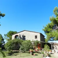 Agricampeggio/Agriturismo Podernuovo BP