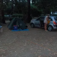camping-san-damiano-biguglia-pxb7h