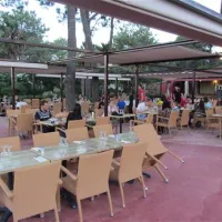 camping-san-damiano-biguglia-zxhff