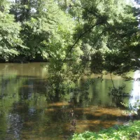 Camping La Capelle