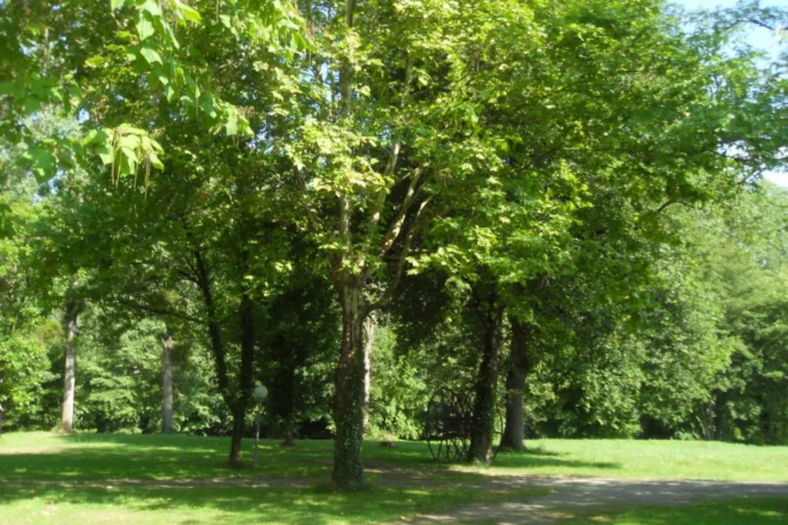 camping-la-capelle-monteils-kbhgh