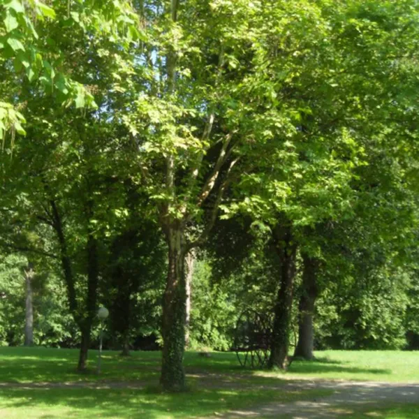 camping-la-capelle-monteils-kbhgh