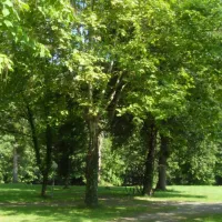camping-la-capelle-monteils-kbhgh