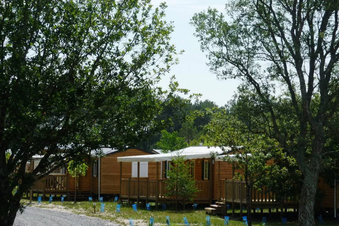 camping-landes-oceanes-saint-michel-escalus-8rq6u